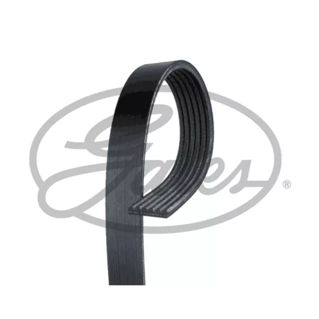 Genuine Gates V-Ribbed Belt - 6PK963