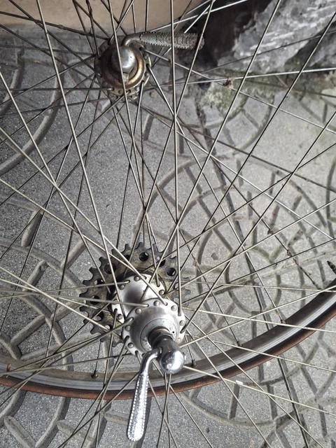 Fulcrum: Ruote per la bici da corsa e mtb - Mozzi in Ruote Fulcrum: Ruote per la bici da corsa e mtb - Mozzi in Ruote