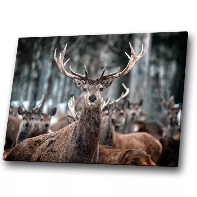 Animal Canvas Prints Framed Wall Art Small Picture Winter Snow Forest Stag