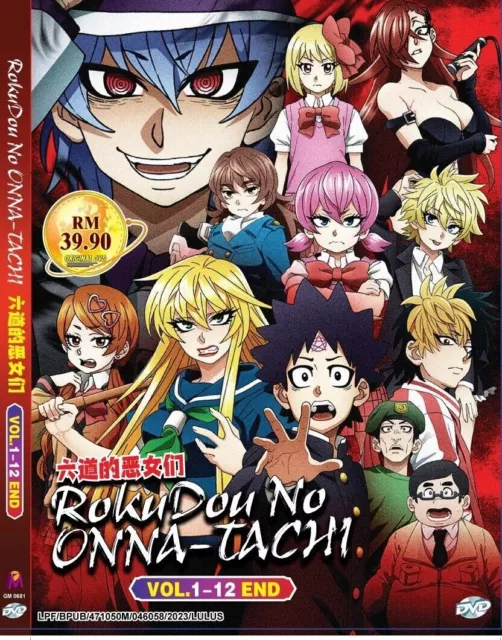 DVD Anime Kinsou No Vermeil Gakeppuchi Series (1-12 End) English Dub, All  Region