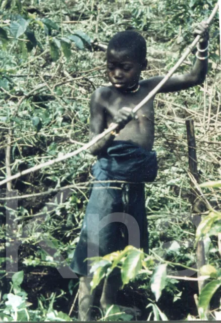 altes Foto Belgisch-Kongo 1956, junger Jäger im Grünen, 9x11cm