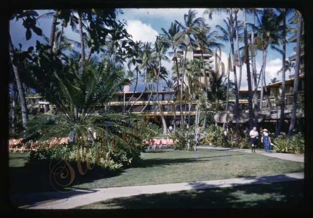 Hawaii Honolulu Hilton Hotel 35mm Slide 1950s Red Border Kodachrome Palm Tree