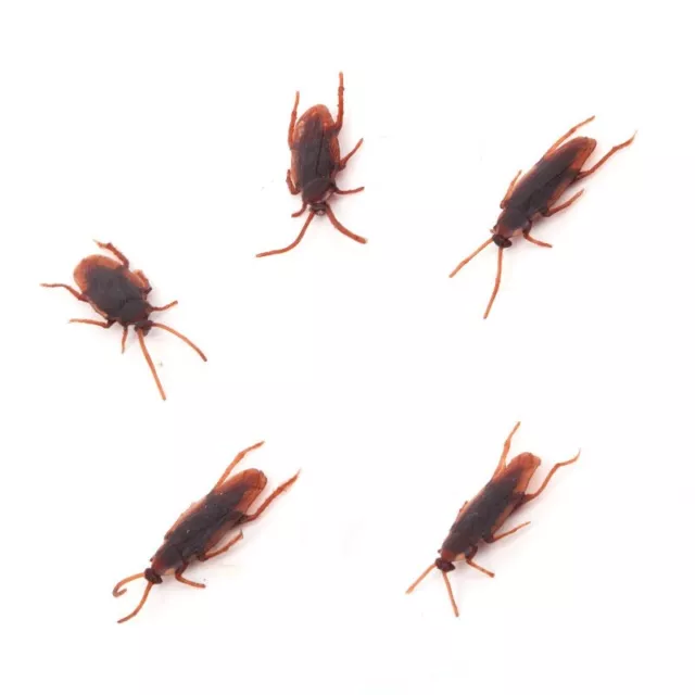 5 x cucaracha insecto broma broma divertida truco juguete de la novedad vida fal