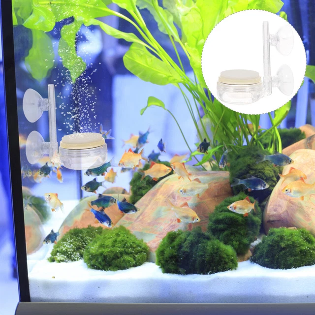 Pietra Bolla Vassoio A Bolle Per Acquario Diffusore D'aria Pompa Di Ossigeno