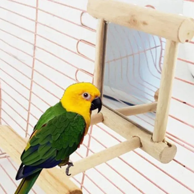 Papagei Vogel Stand Spielzeug Holz Papageien Cage Stand mit Spiegel Sitzstangen