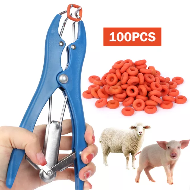 Marking Rings Applicator, 100 Rings, Castration, Tail Banding, Sheep, Premium