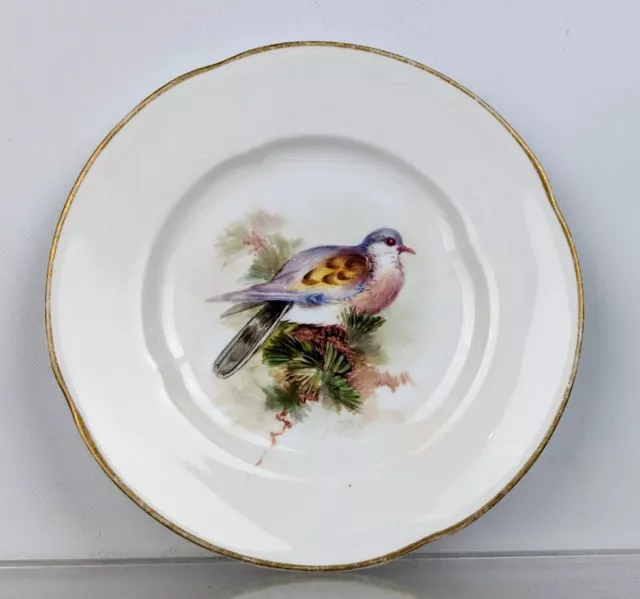 Antique Royal Worcester Porcelain Hand Painted Signed Bird China Plate c1908 NR 2