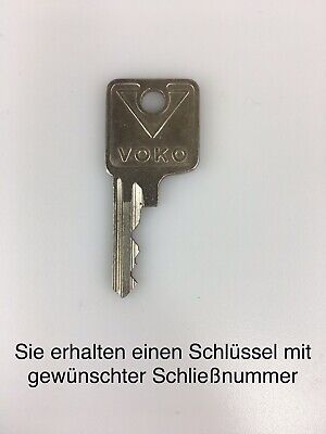 2X CHIAVE CISA DOPPIA Bit Bianchi/schlüsselrohlinge/Chiave Grezza/portachiavi/llave ha gorjas 