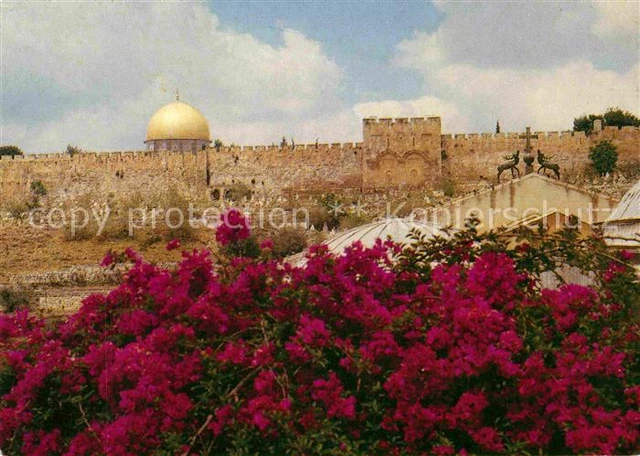 72751381 Jerusalem Yerushalayim Klagemauer Felsendom Israel