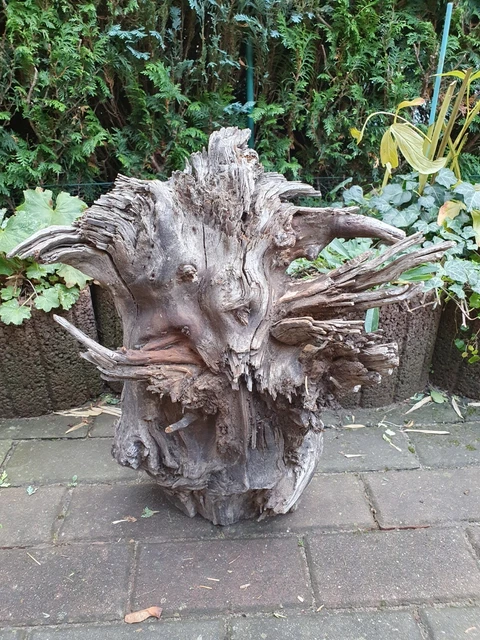 SKULPTUR WURZEL STAMM Holz Baum Deko Unikat 45 x38 x 19 cm EUR 23,50