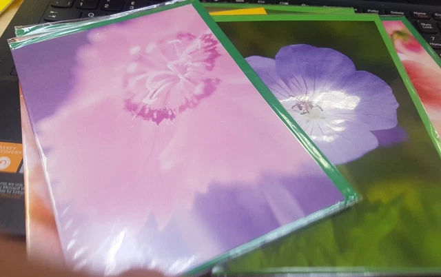 100  GREETINGS & BIRTHDAY NEW ALL WITH FLOWERS CARDS job lot free post £14.99