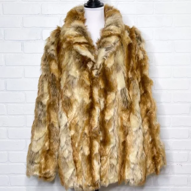 Joe browns plus clearance size coats