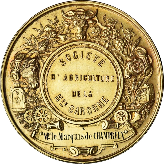 Médaille Société D'Encouragement à L'Agriculture De La Dordogne - Argent - XIXe Siècle - Collection Agricole Vintage
