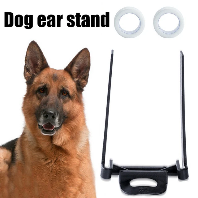 Strumenti Di Supporto Per Le Orecchie Del Cane Adesivi Per Le Orecchie Cura A