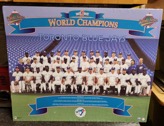 1993 Toronto Blue Jays World Series Champions  Back 2 Back Poster 16" x 20" Nice