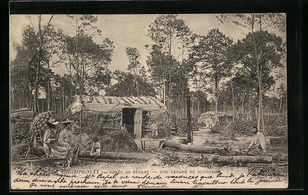 CPA Champrosay, Foret de Senart, Une Cabane de Bucheron, Forstwirtschaft 1904