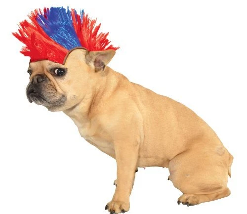 Rubie's Wig for Pets, Small to Medium, Red and Blue Mohawk