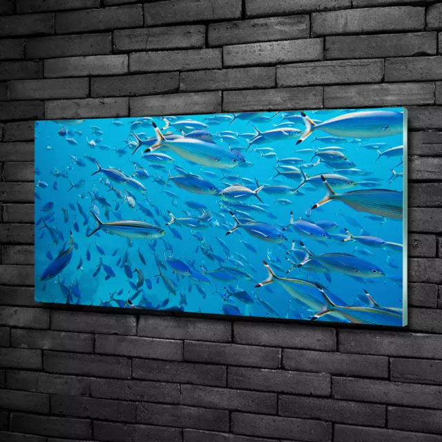 Wandbild aus Plexiglas® Druck auf Acryl 100x50 Tiere Korallenfisch
