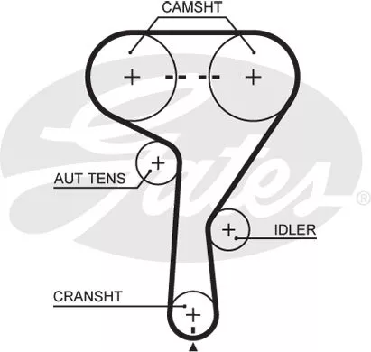 GATES 5603XS Distribution Ceinture pour Alfa Romeo  Chevrolet Fiat Opel Saab