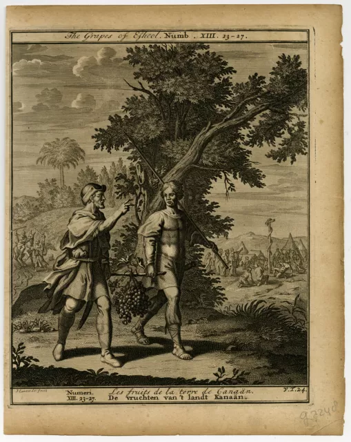 Antiker Bibeldruck - V.T.24-MOSES-FRUCHT-BRONZE-SCHLANGE-BILEAM-Halma-Scheits-1710 2