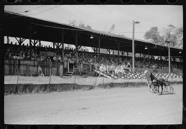 Sulky race Central Iowa 4-H Club fair Marshalltown Iowa 1930s Old Photo 6