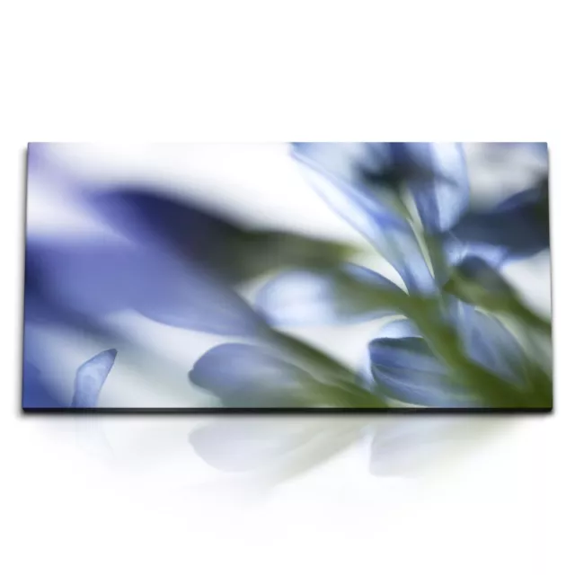 Kunstdruck Bilder 120x60cm Blumen Blüten Blau Hellblau Nahaufnahme