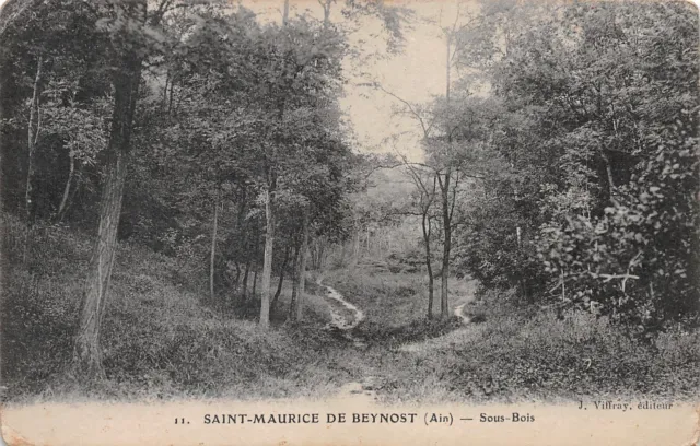 01-Saint Maurice De Beynost-N�3425-E/0087