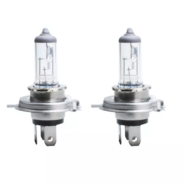 2 Stück 12V 35/35W HS1 Halogenlampe Glühlampe Glühbirne Lampe PX43t   M75w