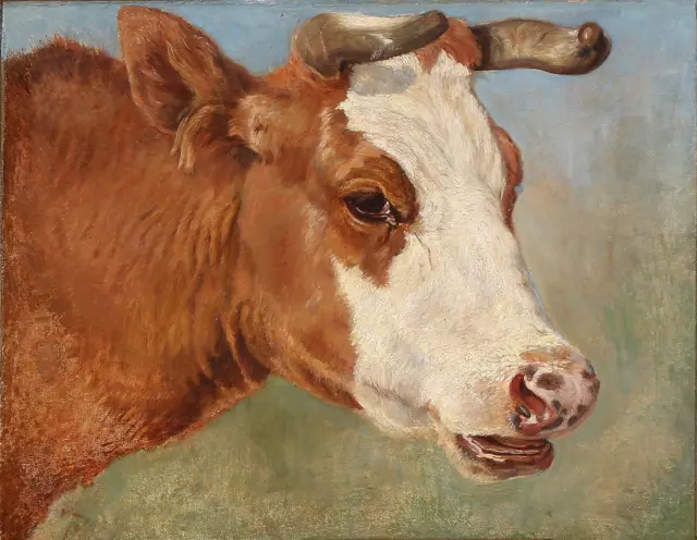 Untitled, Cow : Theodor Philipsen  : Archival Quality Art Print