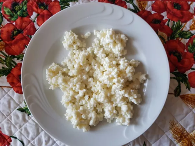 ✔️15 gm KEFIR DI LATTE BIO GRANI PROBIOTICO FERMENTI LATTICI VIVI + ISTRUZIONI