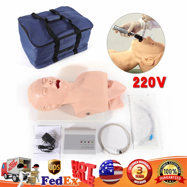 Airway Management Trainer Study Adult Oral Intubation Manikin Teaching Model NEW