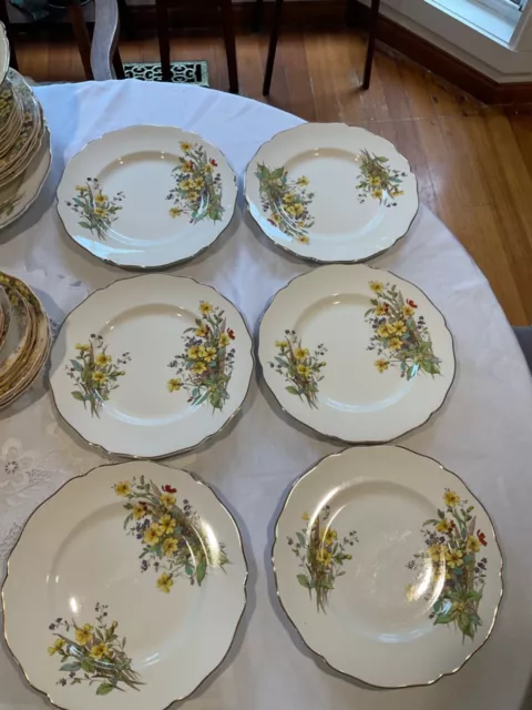Royal doulton sales dinner sets antique