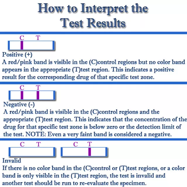 (10er-Pack) 5 Panel Multi-Drug Urin Test Cup 2