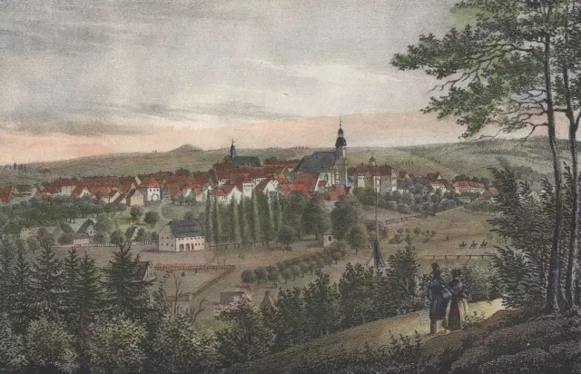 DIPPOLDISWALDE - Gesamtansicht - Saxonia - kol. Lithographie um 1840