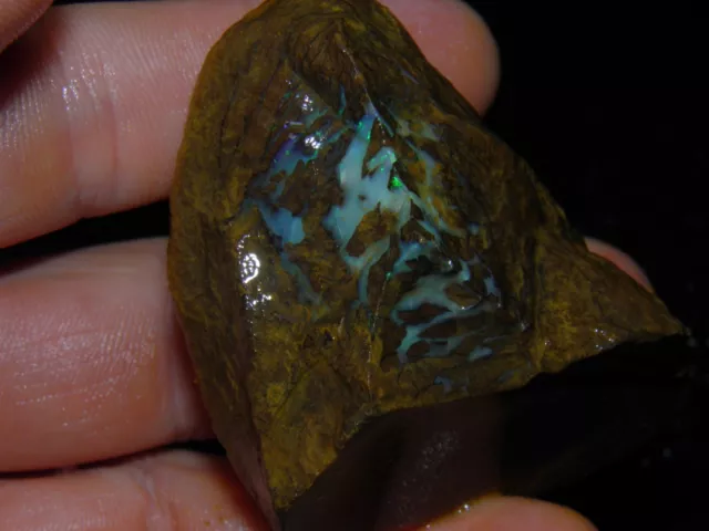Rough Boulder Matrix Australian Opal Fossil/Specimen Slight Fires 528 Cts