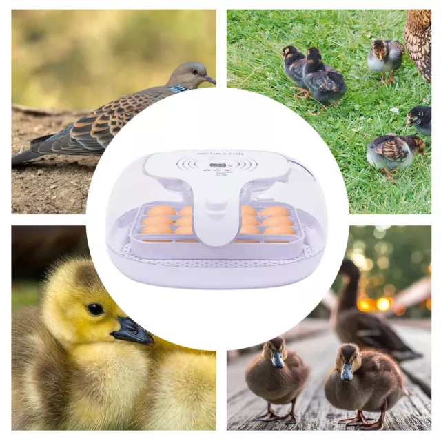 LCD Egg Incubator Hatching Machine for 16 Eggs Chicken Duck Eggs Hatcher UK Plug