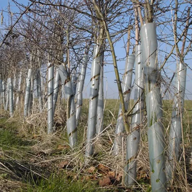 Clear Spiral Tree Guards Plant Rabbit And Support Various Sizes