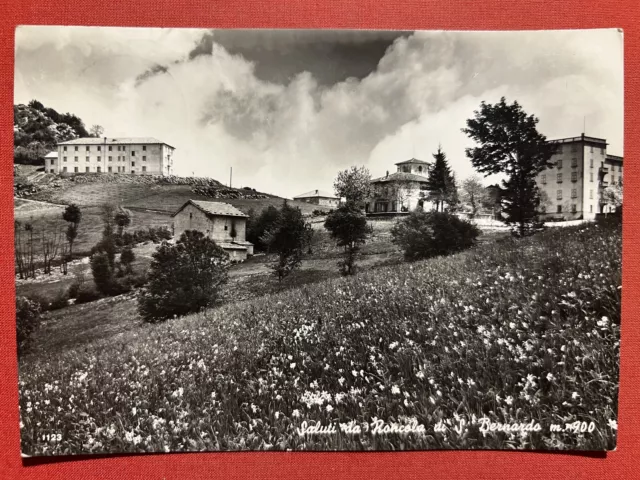 Cartolina - Saluti da Roncola di S. Bernardo ( Bergamo ) - 1960 ca.