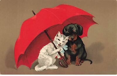 Gatti #MK46028 Un Gatto E Un Cucciolo IN Sotto D Un Ombrello Rosso