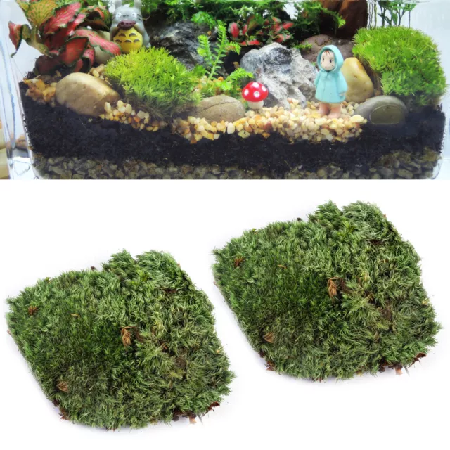 Musgo artesanal verde artificial cunas bolsa musgo decoración musgo 10,5 x 7,5 cm tp