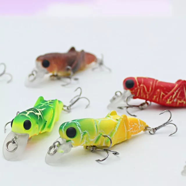 VERSATILE FISHING LURE Holder/Display for Fishing Lovers and Collectors  $20.44 - PicClick AU