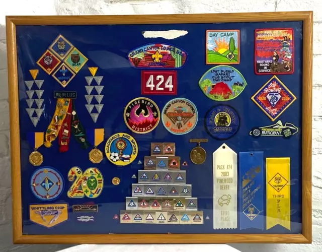 Cub Scouts/Weblos Patches & Medals Framed Display