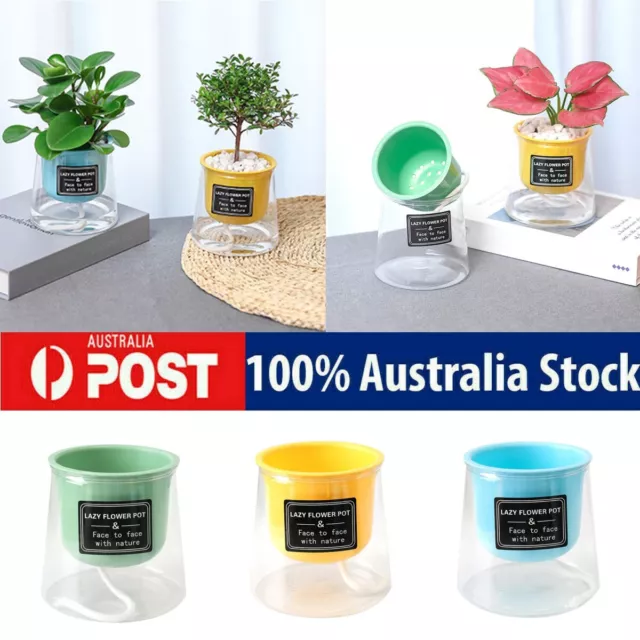 Mini Hydroponic Pot Water Planting Vase Flower Plant Container Aquaponic Planter