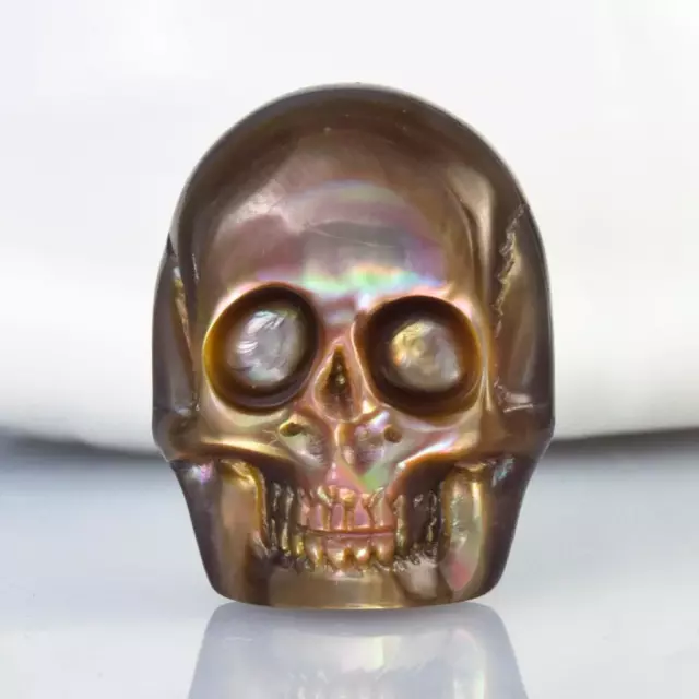 Skull Design Penguin-Wing Oyster Shell & Paua Abalone Carving Cabochon 3.33 g