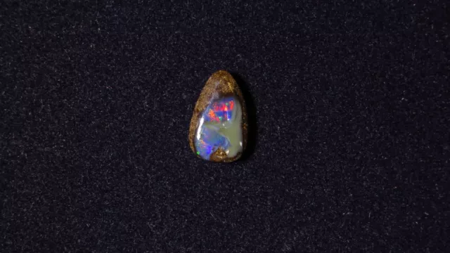 Boulder Opal aus Queensland Australien,  2,0 Carat,  X 20