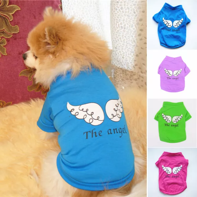 Chihuahua Cucciolo Maglione Cappotto Abbigliamento Per Cani Di Piccola+