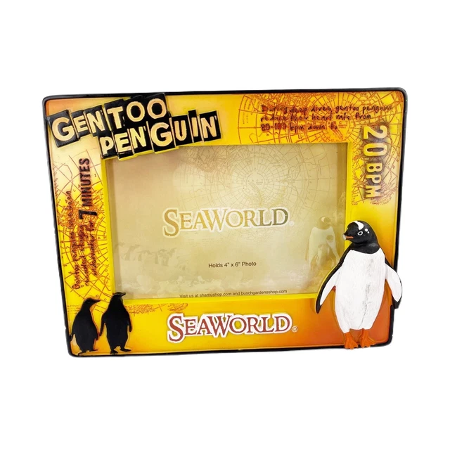 Seaworld Gentoo Penguin Picture Frame 4x6 Photo Busch Garden 3D Parks Read