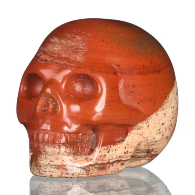 Estatuilla escultura calavera de piedra preciosa tallada a mano jaspe rojo natural de 1,5" 37X86