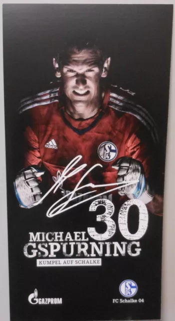 FC Schalke 04 Autogrammkarte Michael Gspurning Saison 2015/2016 Faksimile FP200