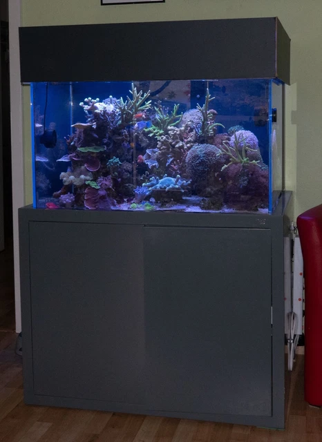 Aquarium (Meerwasser) ohne Tiere